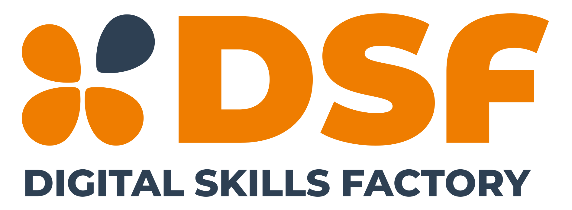 DSF Logo